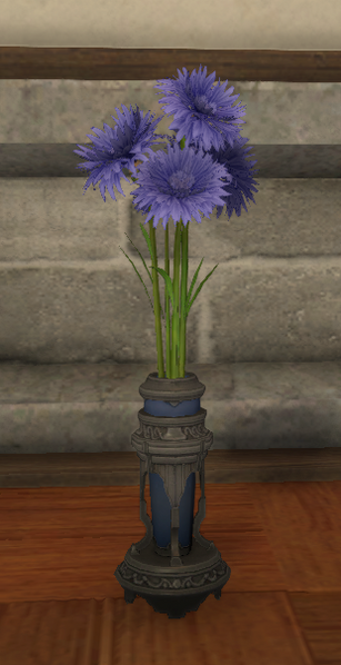 File:Blue Cornflowers.png