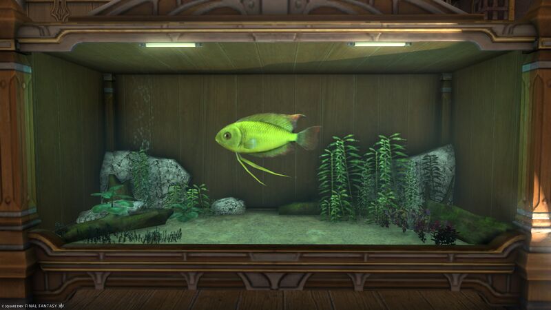 File:Aquarium Preview Measan Deala.jpg