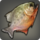 Chemically rich fish icon1.png