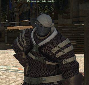 Keen-eyed Marauder