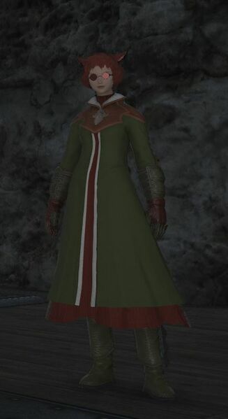 File:Well-traveled Miqo'te.jpg