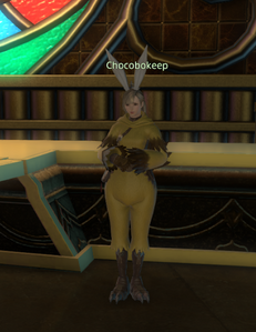 Chocobokeep (Race Counter)