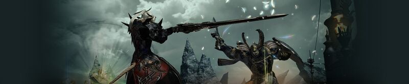 File:PvP Banner.jpg