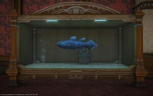 Coelacanth aquarium1.jpg