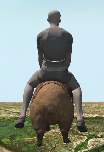 File:Capybara rear.jpg