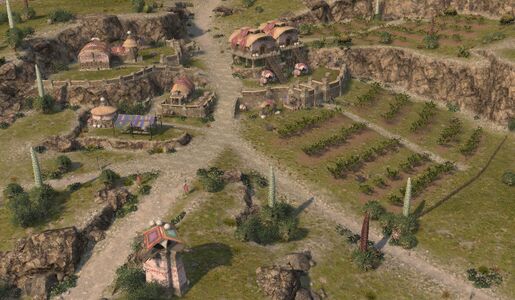 The coffee grounds seen from above