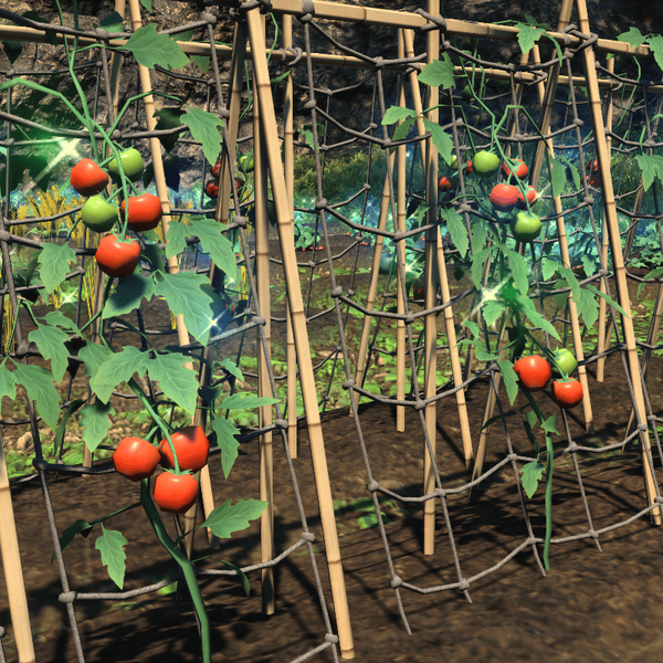 File:Island Tomato Top.png