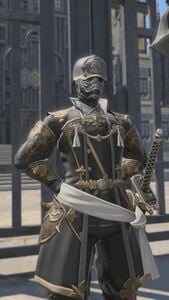 Consulate Guard