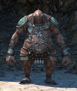 Narvurgar