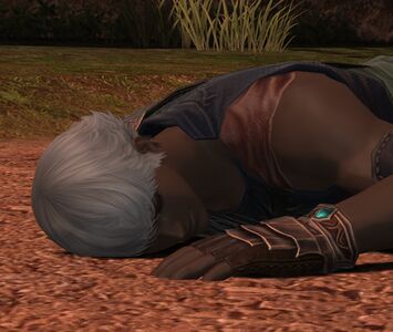 Collapsed Hyur