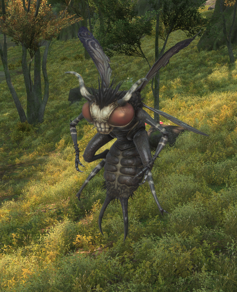 File:Seven-year Gnat.png