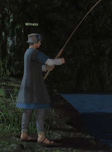 Witness