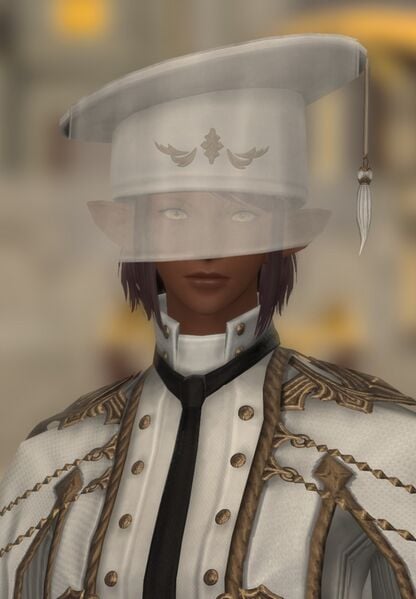 File:Outspoken Councilor.jpg
