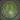 Sanctuary Carapace