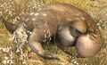 Thumbnail for version as of 12:10, 7 June 2026