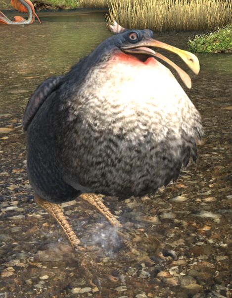 File:Curved-beak Cockatrice.jpg