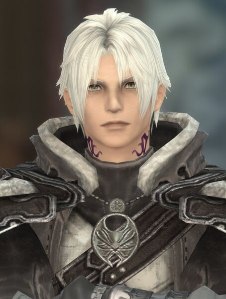 File:Thancred (cold) Portrait.jpg
