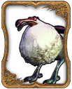 Dodo Card