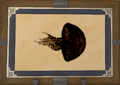 Thumbnail for version as of 03:26, 6 June 2026