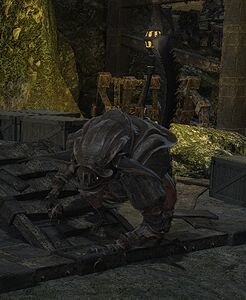 59th Order Matriarch Go Zu