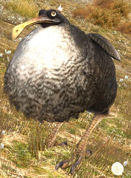 File:Feral Dodo.jpg