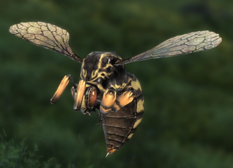File:Giant Bee.jpg
