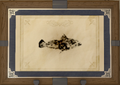 Thumbnail for version as of 15:46, 10 May 2026
