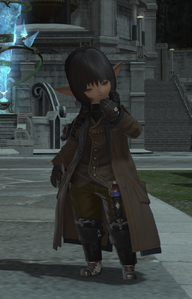Vexed Veterinarian
