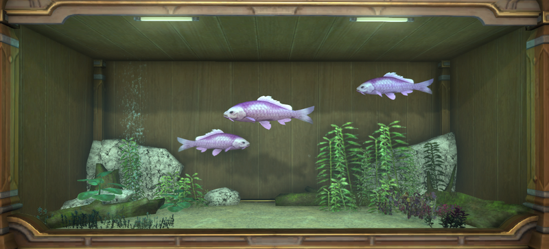 File:Violet Prismfish tank 1.png