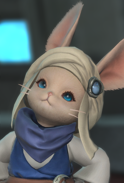 File:Flustered Loporrit 1.png