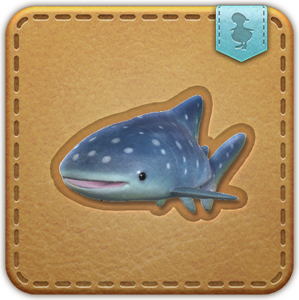 Junior Jinbei
