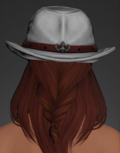 Light-heavy Hat of Healing rear.png