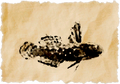 Thumbnail for version as of 17:10, 28 April 2026