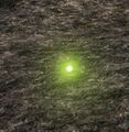Thumbnail for version as of 12:39, 7 June 2026
