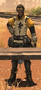 Railroad Inspector