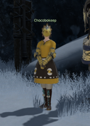 Chocobokeep The Convictory.png