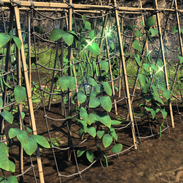 File:Island Runner Beanstalk Top.png
