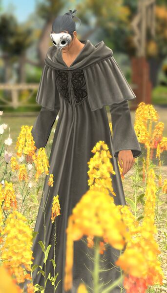 File:Hierax fullbody.jpg