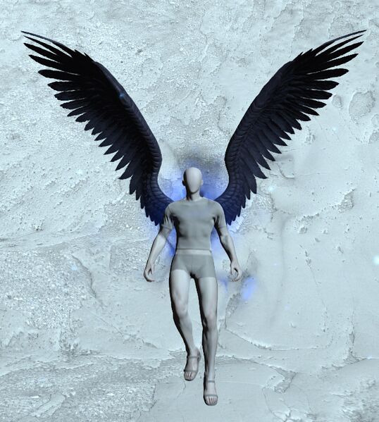 File:Wings of Resolve.jpg