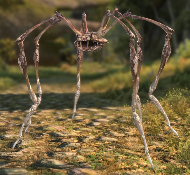 File:Yarzon Invader.jpg