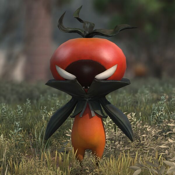 File:Crescent Tomato.jpeg