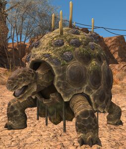 Iron Tortoise