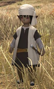 Shifty-eyed Merchant