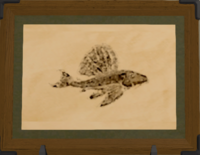 Spotted Pleco print.png