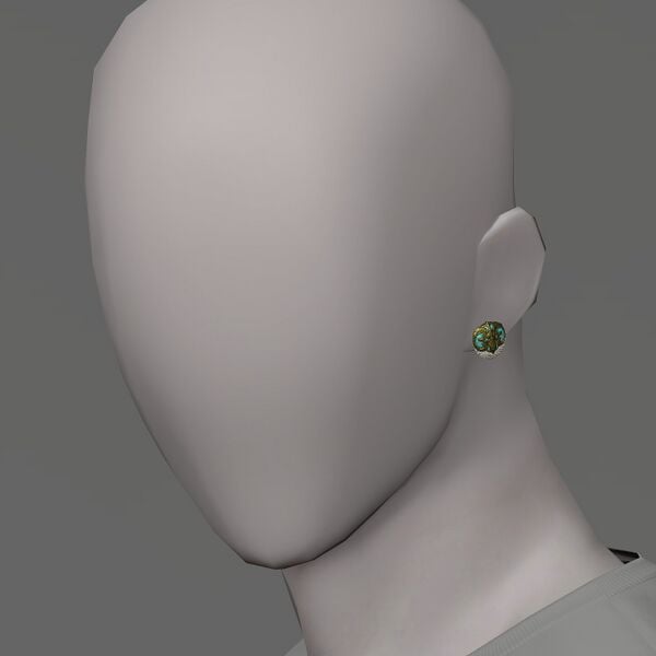 File:Beastmaster's Earrings.jpeg