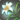 Commemorative flower icon1.png