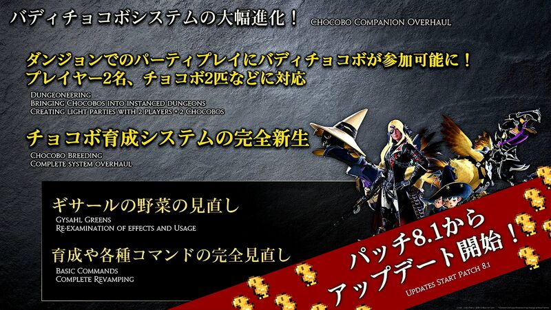 File:Evercold chocobo update preview.jpeg