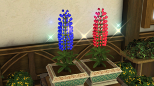 Lupin Flowers1.png