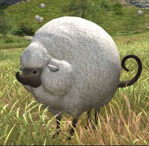 Lost Lamb
