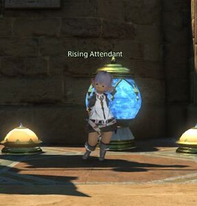Rising Attendant (2024) (Ul'dah)